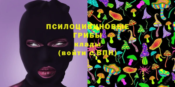 эйфоретик Абаза