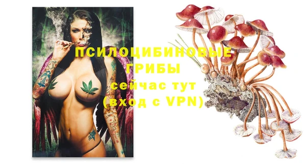 винт Абдулино