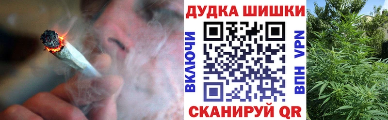 где купить наркотик  Павловский Посад  Бошки Шишки Ganja 